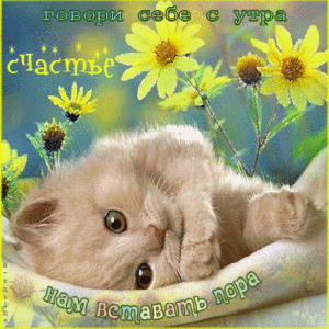 Моей самой Нежной Стерве)))