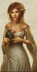 Игрок Romewar