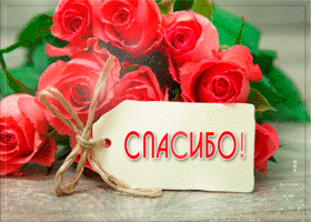 Свету моих очей